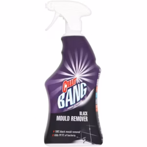 BANG MOULD 750ml