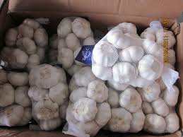 White Dry Garlic